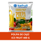 Polpa de Cajú Ice Fruit 400 g